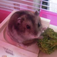 今食べてるんだから！