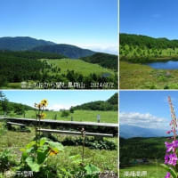 納涼　夏山の花めぐり