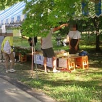 蓼科だより・朝市収穫祭に行ってみた