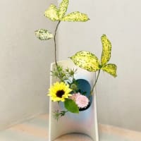 裏貼り自由花