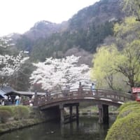いらっしゃいまし