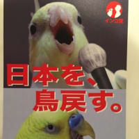 夏期休暇