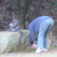 深山公園の様子２