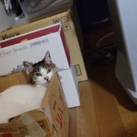 私はそのメーカー応援します！