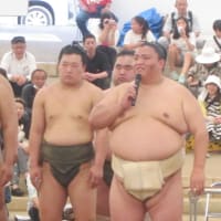 相撲部屋の信州合宿