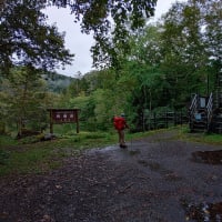 雄阿寒岳登山　原生林の急登