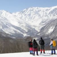 《翔んで翔んで》「gooブログ中止」→はてなブログへ