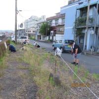 朝の電動アシスト・サイクリング（2025/6/21）・・・姶良市加治木町港町方面