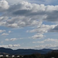 水上池へ鳥の観察に