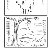 お散歩日和