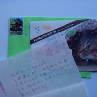 のんびり奈良―９．奈良ならではのやさしい心
