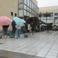 6/9-10　元気かい　散髪　たまプラーザ