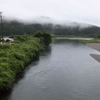 本日の海部川