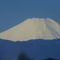 富士山の雪も増え
