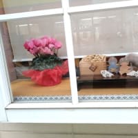 一人街歩き（1月26日・日曜日）