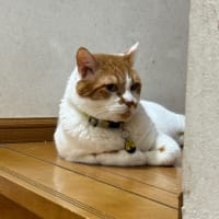 2025/6/16の朝