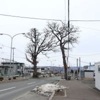 鉄込み散歩　- 端野、東陵公園など -
