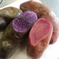 農天市場八木さんの野菜入荷しましたよー！ 紫のじゃがいもシャドークイーン、ピンクのじゃがいもノーザンルビー