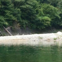 つくばねオートキャンプ場 フシュフシュの気まぐれ散歩