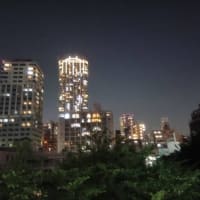 久々の出社