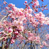 3.11に思う事②
