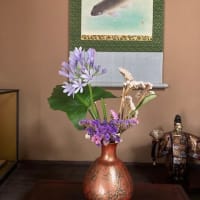 アガパンサスの花を生けました