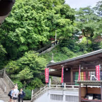 歩かないと・・・