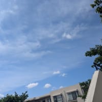 病み上がり