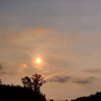 朝空