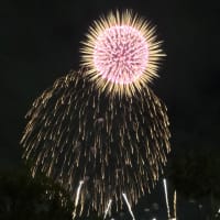 巫てんり歌枠配信18時