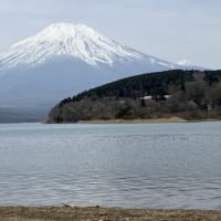 PCXと富士山 2024年4月Ver.