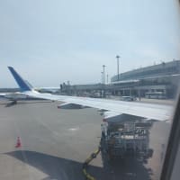 出張とゴルフ・・・・ｗ