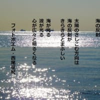 海の反射