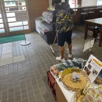 気温高いから、ファン付き