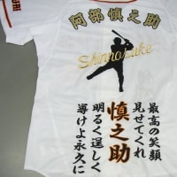 今日の1まい)) 阪神タイガース Tigers 赤星 憲広 応援 今日の1まい)) 阪神タイガース Tigers 赤星 憲広 応援