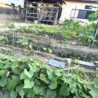 6月16日（月）②