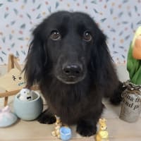 今月のサロン