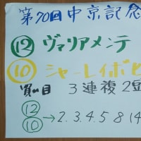 ７月２４日のレース中京記念G3の私の予想