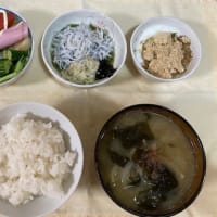７．４　めかぶしらす