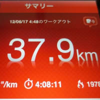 第1238号：2012/6/17（日）RUN【37km】SWIM【クロール3,700m】