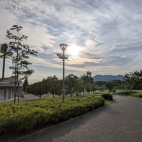 綿帽子の写真を撮りながら・・・