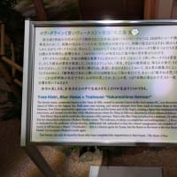 「中之島　香雪美術館　大原美術館所蔵20世紀美術の巨匠たち」