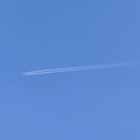 飛行機雲 ・ ノミノツヅリ ・ ヘビイチゴ収穫