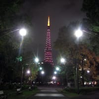 今夜の東京タワーはダイヤモンドヴェールだ！