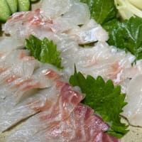 丸ごと１尾の鯛でお刺身と兜煮