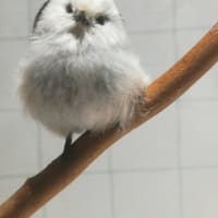 名古屋市科学館に行きました