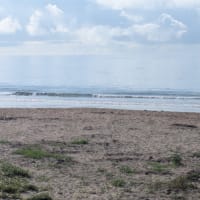 ２０２５年6月２１日御宿海岸よねちゃん前