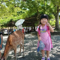 振り返りでの広島とか誕生日とか☆