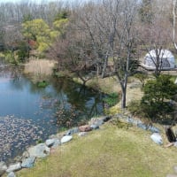 恵庭道の駅に・・玉ねぎの苗を