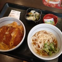 久々のなか卯💕